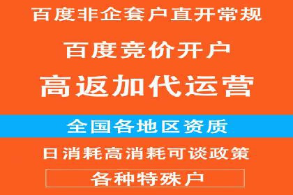 SEM推广代运营公司成功案例解析